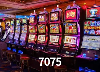 Descubra a Essência do 7075: Nossa História e Compromissos